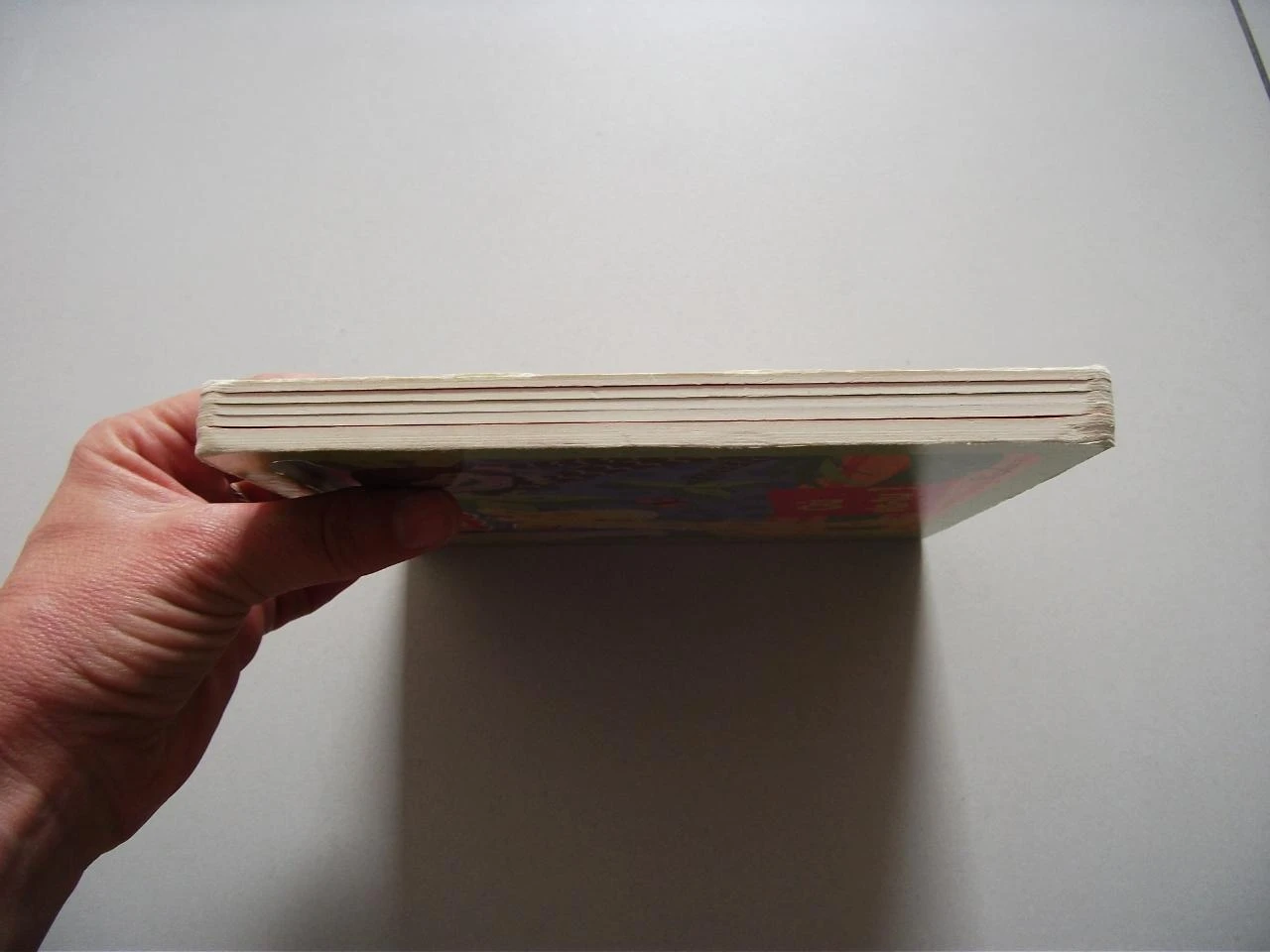 Livro encadernado Onde você mora? – photo 8